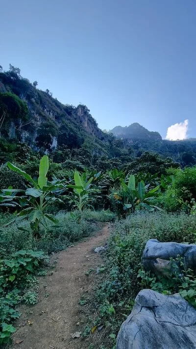 dschungel-pfad-pha-khao-aussichtspunkt-nong-khiaw