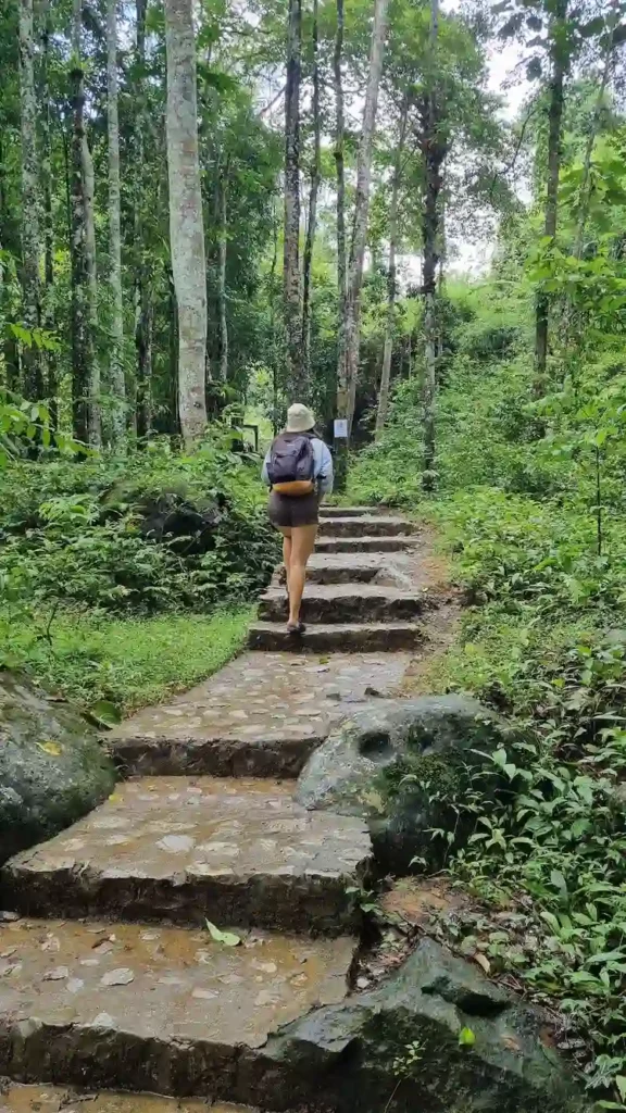 befestigter weg durch den dschungel in laos